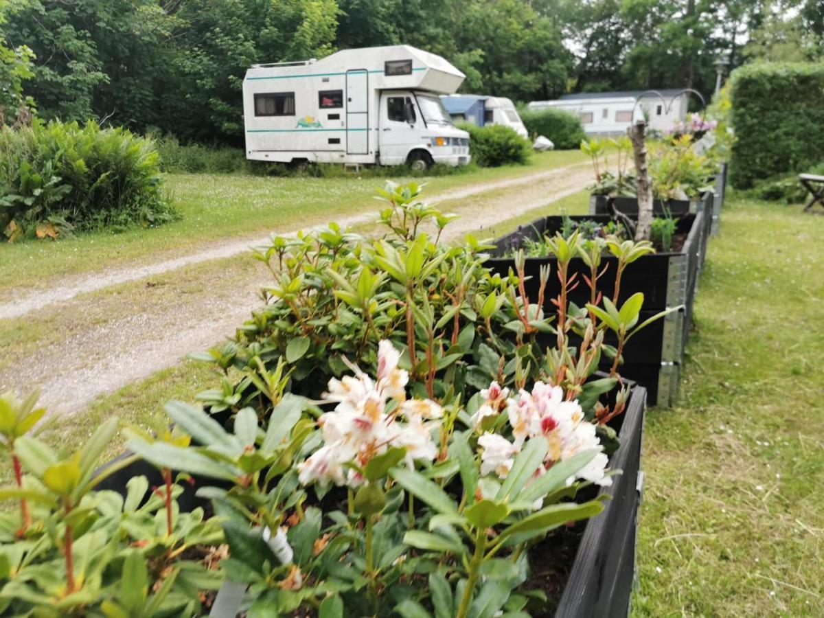 Frederiksvaerk Camping & Hostel エクステリア 写真