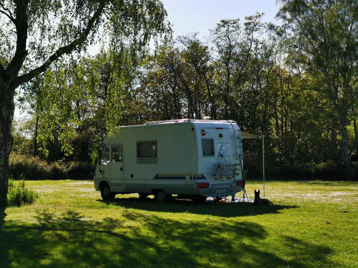 Frederiksvaerk Camping & Hostel エクステリア 写真