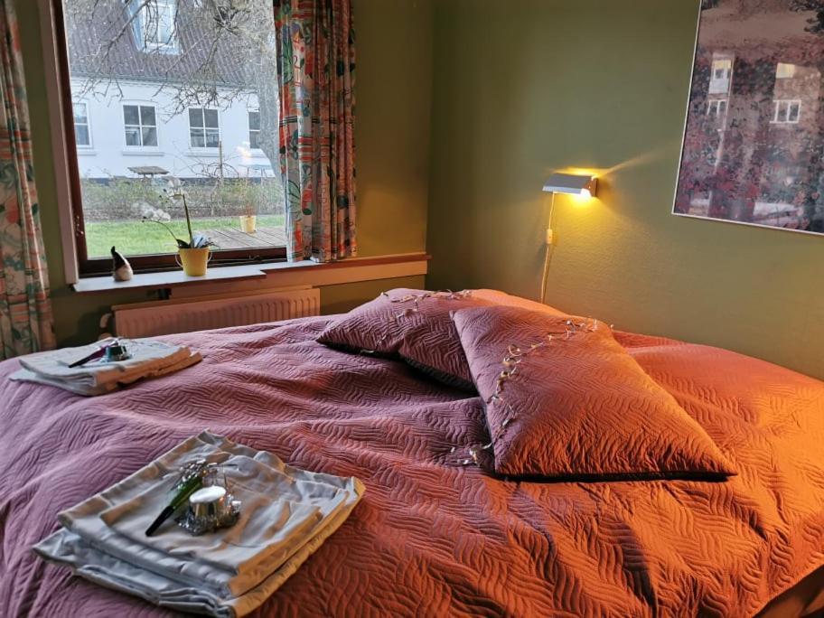 Frederiksvaerk Camping & Hostel エクステリア 写真