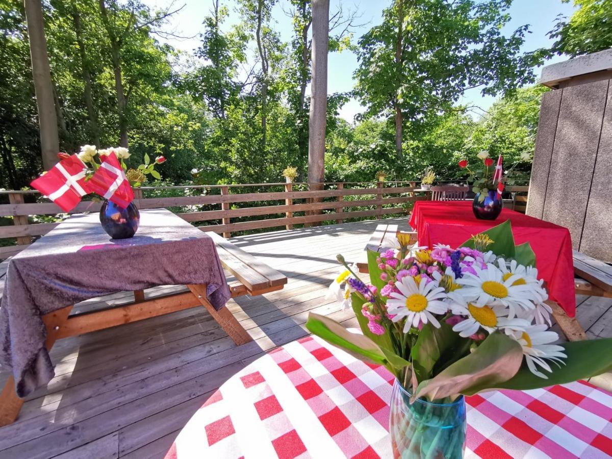 Frederiksvaerk Camping & Hostel エクステリア 写真