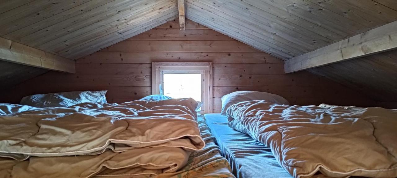 Frederiksvaerk Camping & Hostel エクステリア 写真