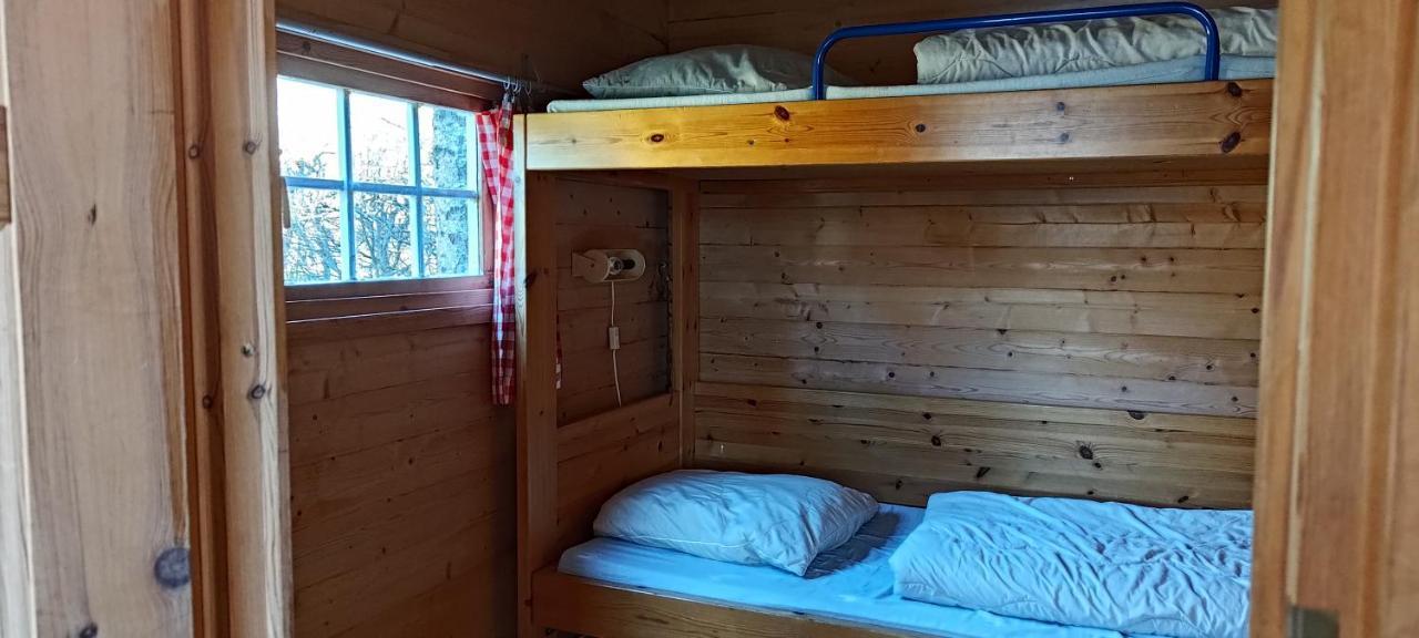 Frederiksvaerk Camping & Hostel エクステリア 写真