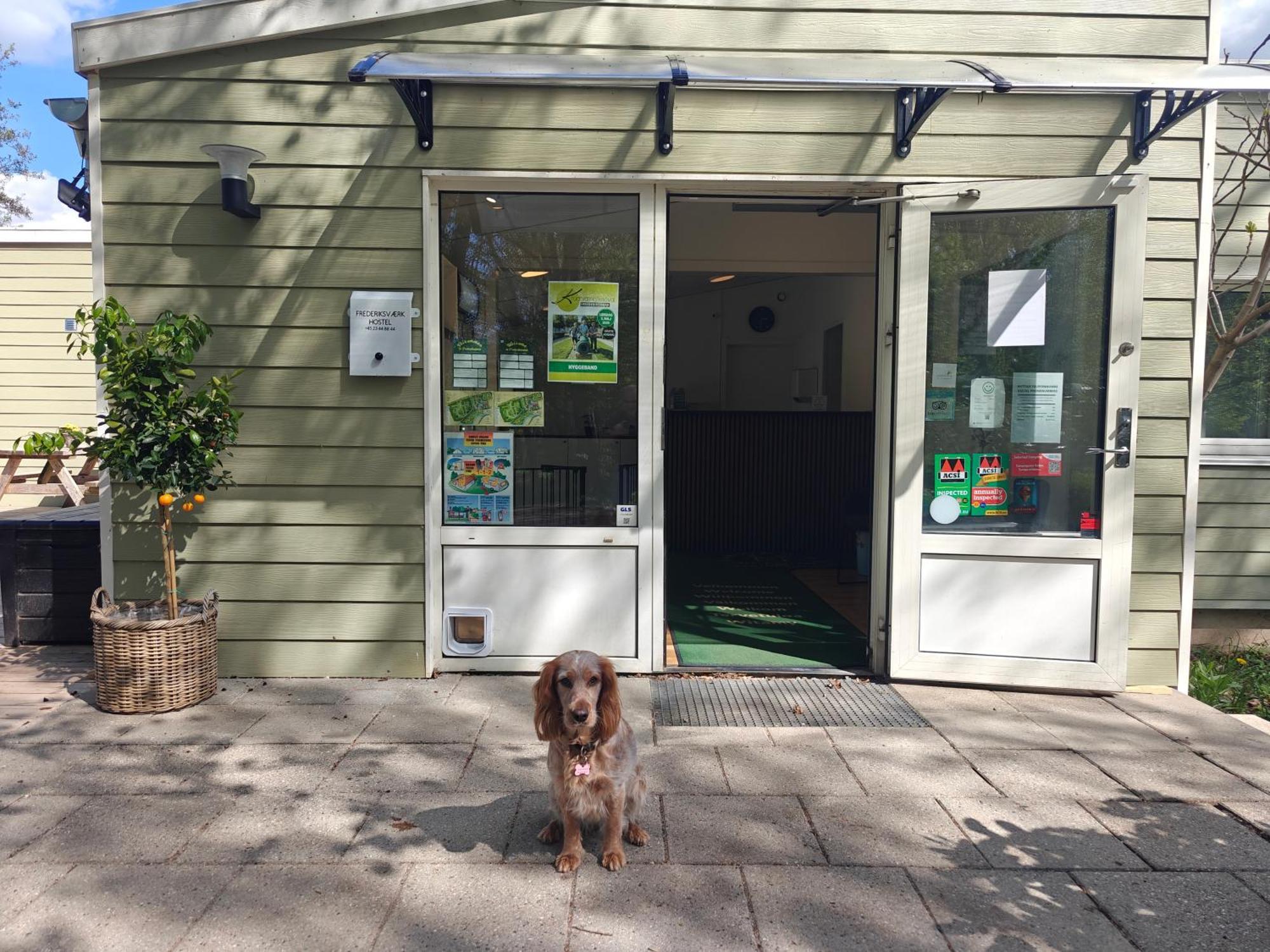 Frederiksvaerk Camping & Hostel エクステリア 写真